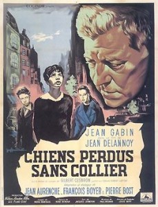 chiens_perdus_sans_collier